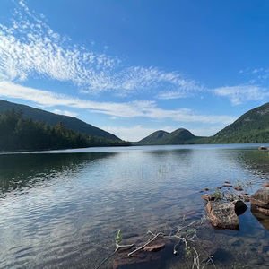 Meet your Posher, Bennett